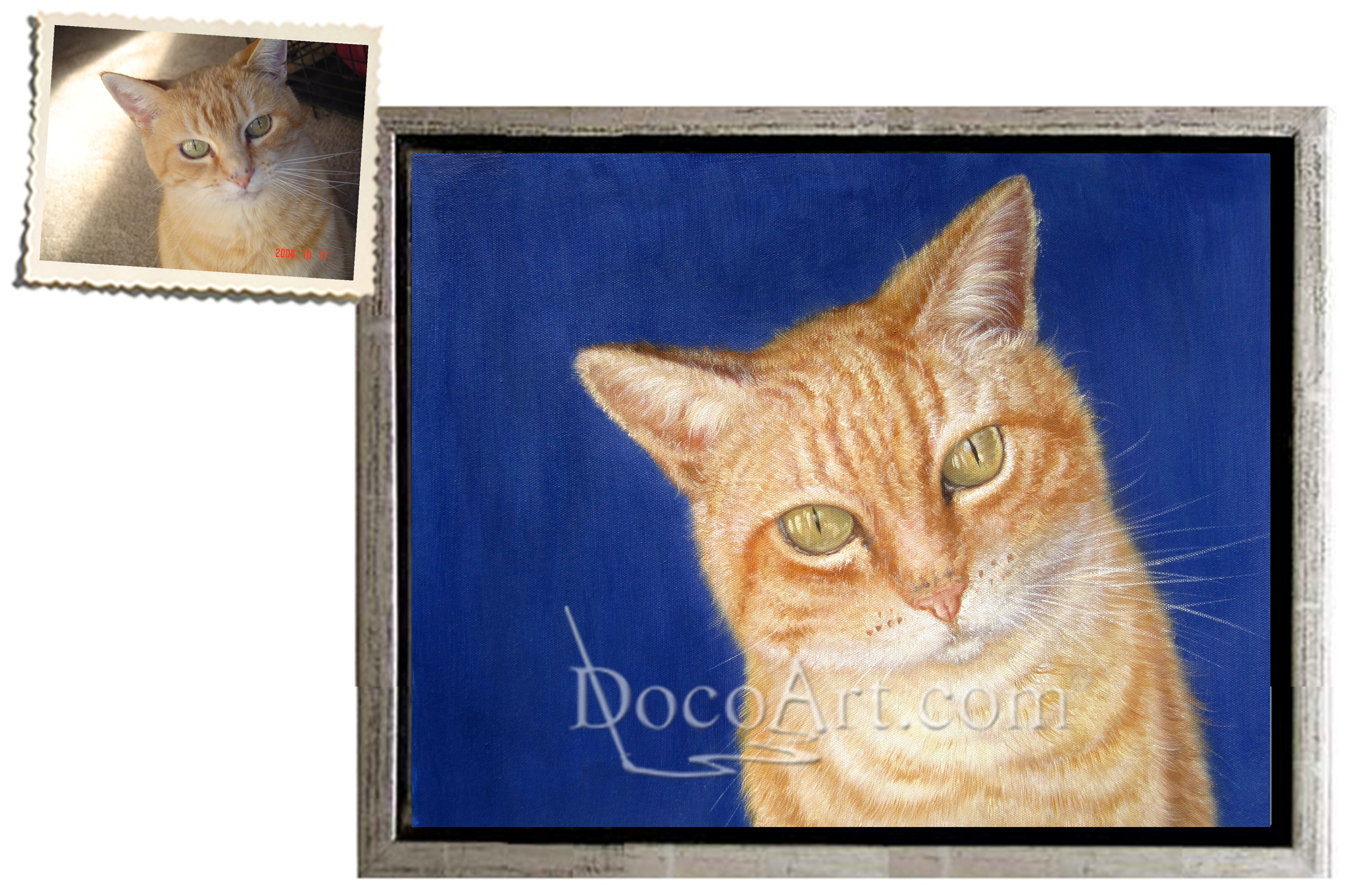 Cat Portrait
