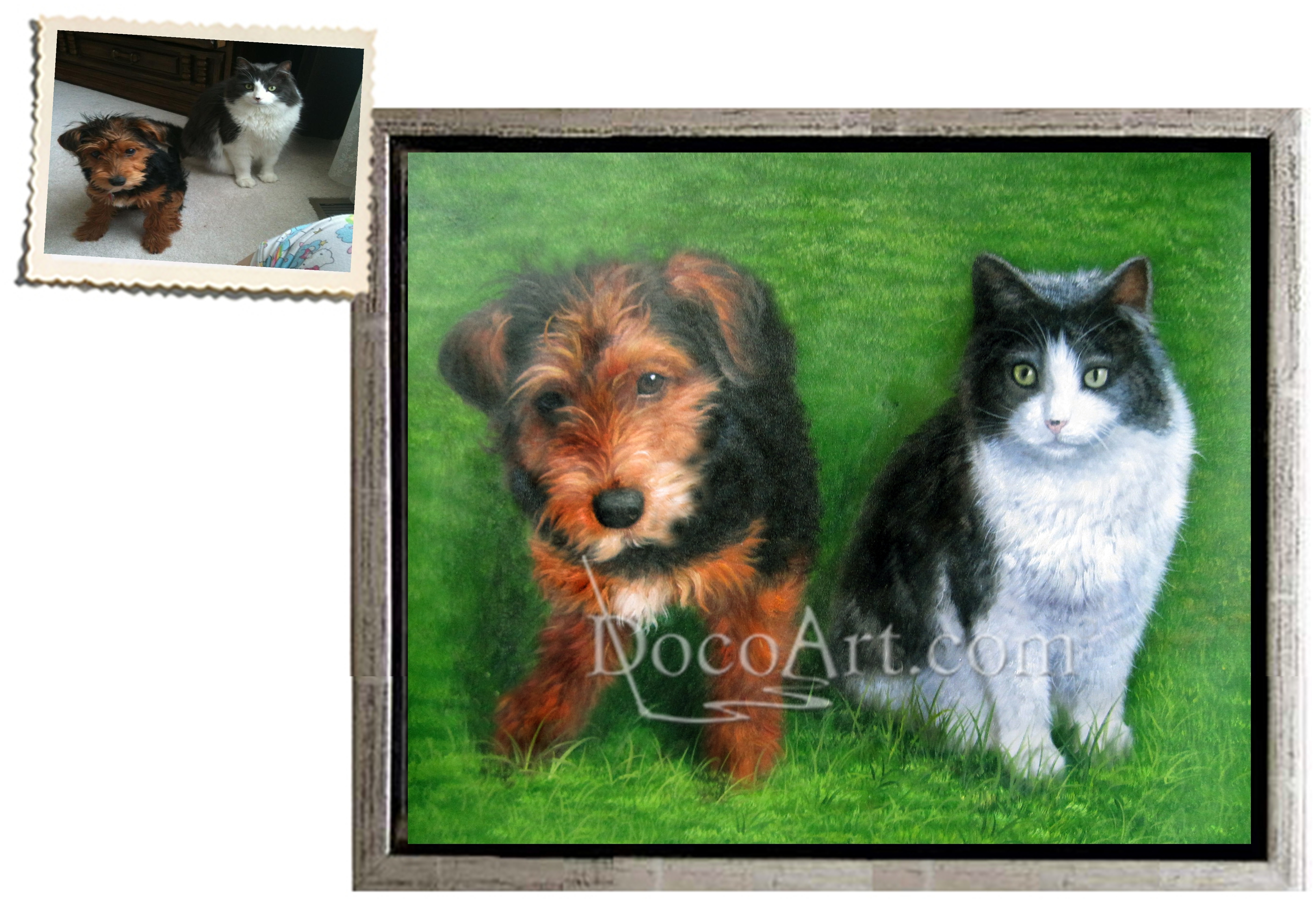 Pet Portrait