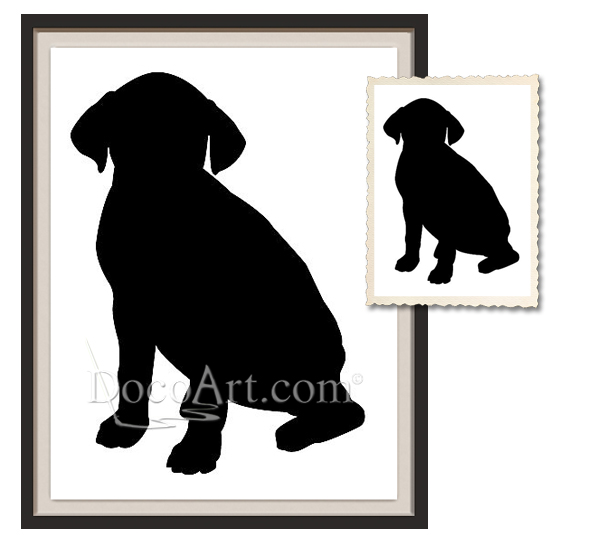 Dog Portrait